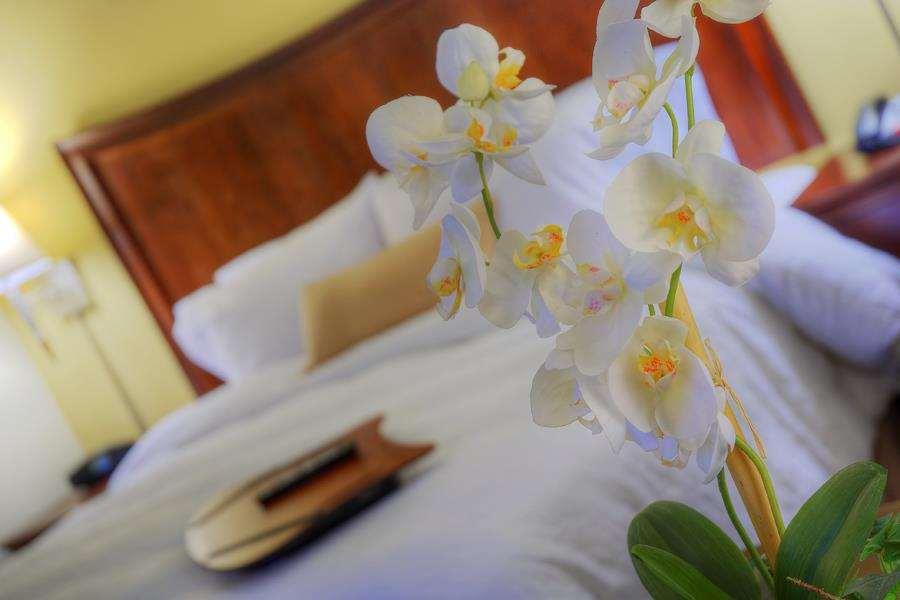 Hampton Inn Gainesville-Haymarket Room photo